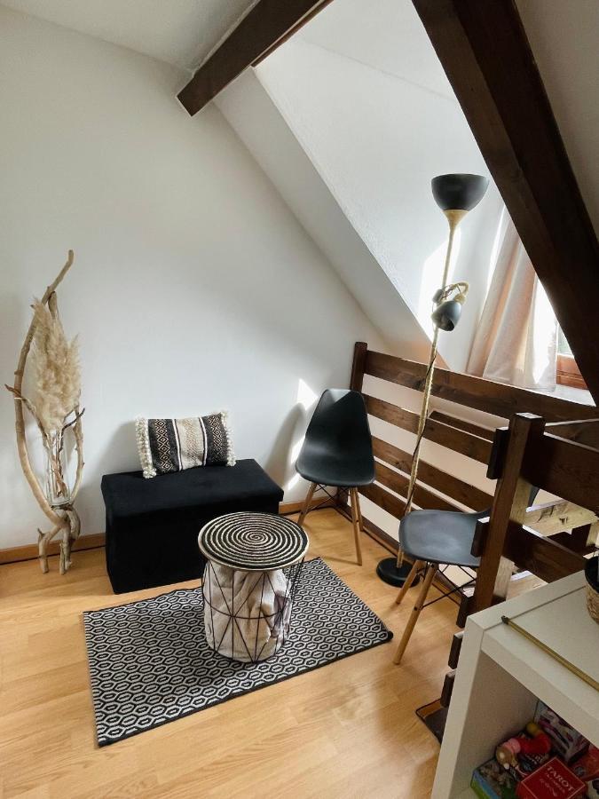 Duplex Du Pailhet, T3 Neuf, Vue Montagne, Parking, Navette Et 2 Velos A Disposition Gratuitement Bagnères-de-Luchon エクステリア 写真
